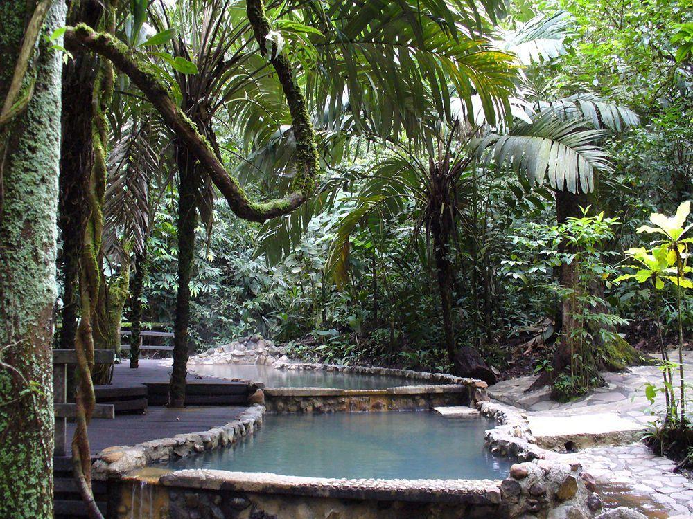 Termales Del Bosque & Hot Springs Hotel La Marina Exterior photo