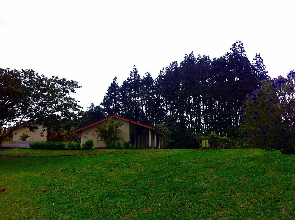Termales Del Bosque & Hot Springs Hotel La Marina Exterior photo